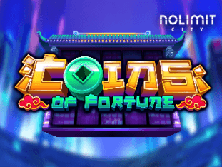 Coins Of Fortune game thumbnail